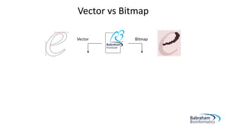 Vector vs Bitmap
 