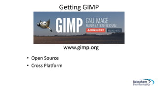 Getting GIMP
• Open Source
• Cross Platform
www.gimp.org
 