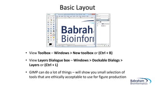 • View Toolbox – Windows > New toolbox or (Ctrl + B)
• View Layers Dialogue box – Windows > Dockable Dialogs >
Layers or (Ctrl + L)
• GIMP can do a lot of things – will show you small selection of
tools that are ethically acceptable to use for figure production
Basic Layout
 