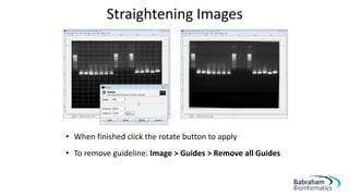Straightening Images
• When finished click the rotate button to apply
• To remove guideline: Image > Guides > Remove all Guides
 