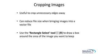 Cropping Images
• Useful to crop unnecessary edges away
• Can reduce file size when bringing images into a
vector file
• Use the ‘Rectangle Select’ tool (R) to draw a box
around the area of the image you want to keep
 