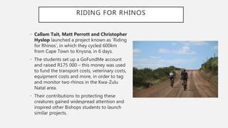 RIDING FOR RHINOS
• Callam Tait, Matt Perrott and Christopher
Hyslop launched a project known as ’Riding
for Rhinos’, in which they cycled 600km
from Cape Town to Knysna, in 6 days.
• The students set up a GoFundMe account
and raised R175 000 – this money was used
to fund the transport costs, veterinary costs,
equipment costs and more, in order to tag
and monitor two rhinos in the Kwa-Zulu
Natal area.
• Their contributions to protecting these
creatures gained widespread attention and
inspired other Bishops students to launch
similar projects.
 
