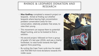 RHINOS & LEOPARDS DONATION AND
RESEARCH
• Max Godfrey completed a research project on
leopards. Aimed at finding out whether
leopards where leaving high concentration
predator conservation areas for low
conservation, relatively predator free areas, to
raise their young.
• This movement can expose them to potential
illegal hunting, and so he looked to find a
solution.
• His second project, followed on from a group
of grade 12's last year (2016), and was a charity
fundraiser, to raise funds towards the fight
against rhino poaching.
• By cycling the Cape Town cycle tour he raised
over R50 000 from kind donations towards this
noble cause.
 