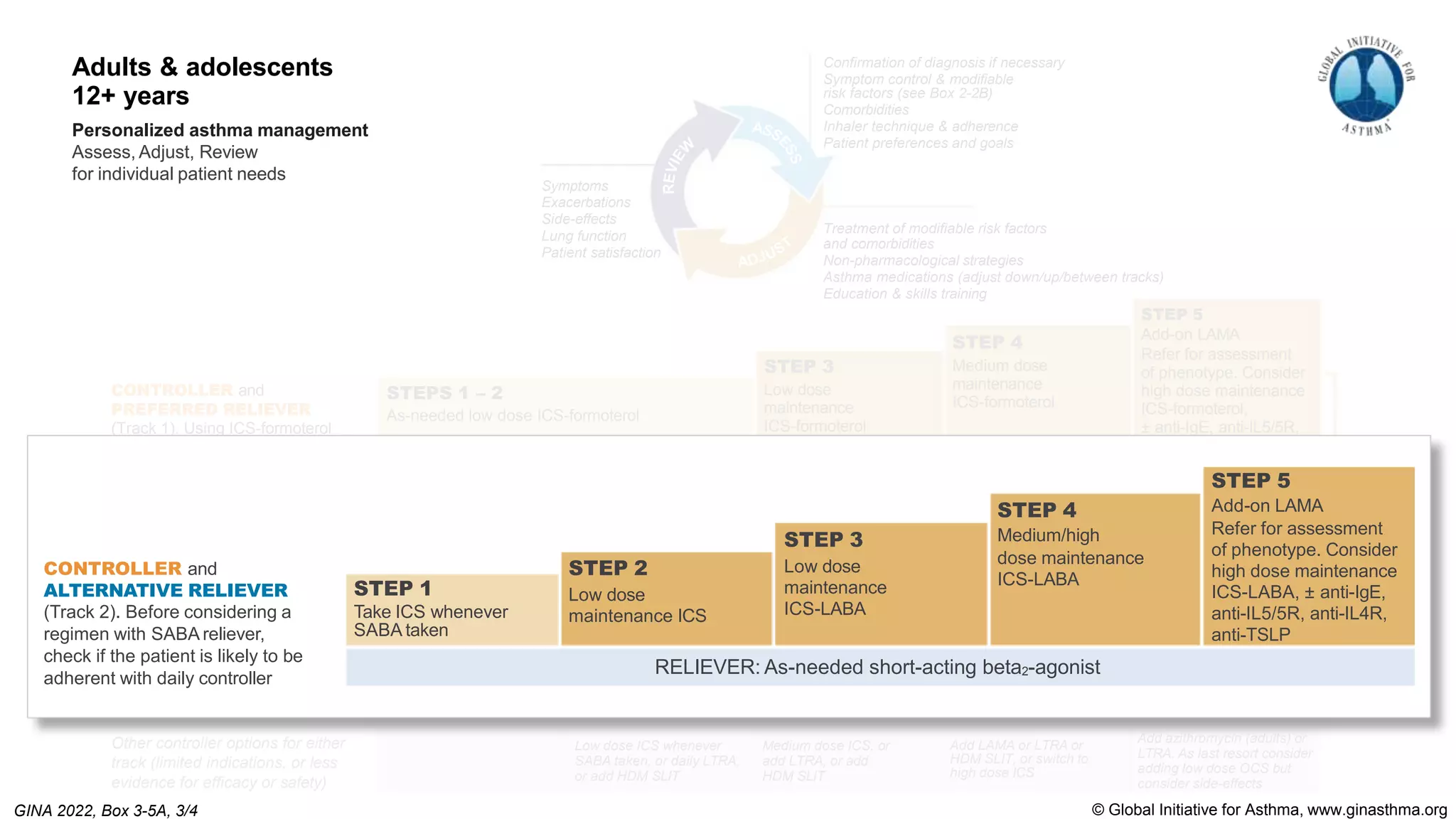 Low dose ICS whenever
SABA taken, or daily LTRA,
or add HDM SLIT
Medium dose ICS, or
add LTRA, or add
HDM SLIT
Add LAMA or LTRA or
HDM SLIT, or switch to
high dose ICS
Add azithromycin (adults) or
LTRA. As last resort consider
adding low dose OCS but
consider side-effects
RELIEVER: As-needed short-acting beta2-agonist
STEP 1
Take ICS whenever
SABA taken
STEP 2
Low dose
maintenance ICS
STEP 3
Low dose
maintenance
ICS-LABA
STEP 4
Medium/high
dose maintenance
ICS-LABA
STEP 5
Add-on LAMA
Refer for assessment
of phenotype. Consider
high dose maintenance
ICS-LABA, ± anti-IgE,
anti-IL5/5R, anti-IL4R,
anti-TSLP
RELIEVER: As-needed low-dose ICS-formoterol
STEPS 1 – 2
As-needed low dose ICS-formoterol
STEP 3
Low dose
maintenance
ICS-formoterol
STEP 4
Medium dose
maintenance
ICS-formoterol
STEP 5
Add-on LAMA
Refer for assessment
of phenotype. Consider
high dose maintenance
ICS-formoterol,
± anti-IgE, anti-IL5/5R,
anti-IL4R, anti-TSLP
Treatment of modifiable risk factors
and comorbidities
Non-pharmacological strategies
Asthma medications (adjust down/up/between tracks)
Education & skills training
Adults & adolescents
12+ years
Personalized asthma management
Assess, Adjust, Review
for individual patient needs
Symptoms
Exacerbations
Side-effects
Lung function
Patient satisfaction
Confirmation of diagnosis if necessary
Symptom control & modifiable
risk factors (see Box 2-2B)
Comorbidities
Inhaler technique & adherence
Patient preferences and goals
CONTROLLER and
PREFERRED RELIEVER
(Track 1). Using ICS-formoterol
as reliever reduces the risk of
exacerbations compared with
using a SABA reliever
Other controller options for either
track (limited indications, or less
evidence for efficacy or safety)
CONTROLLER and
ALTERNATIVE RELIEVER
(Track 2). Before considering a
regimen with SABA reliever,
check if the patient is likely to be
adherent with daily controller
See GINA
severe
asthma guide
RELIEVER: As-needed short-acting beta2-agonist
STEP 1
Take ICS whenever
SABA taken
STEP 2
Low dose
maintenance ICS
STEP 3
Low dose
maintenance
ICS-LABA
STEP 4
Medium/high
dose maintenance
ICS-LABA
STEP 5
Add-on LAMA
Refer for assessment
of phenotype. Consider
high dose maintenance
ICS-LABA, ± anti-IgE,
anti-IL5/5R, anti-IL4R,
anti-TSLP
CONTROLLER and
ALTERNATIVE RELIEVER
(Track 2). Before considering a
regimen with SABA reliever,
check if the patient is likely to be
adherent with daily controller
© Global Initiative for Asthma, www.ginasthma.org
Adults & adolescents
12+ years
Personalized asthma management
Assess, Adjust, Review
for individual patient needs
GINA 2022, Box 3-5A, 3/4
 