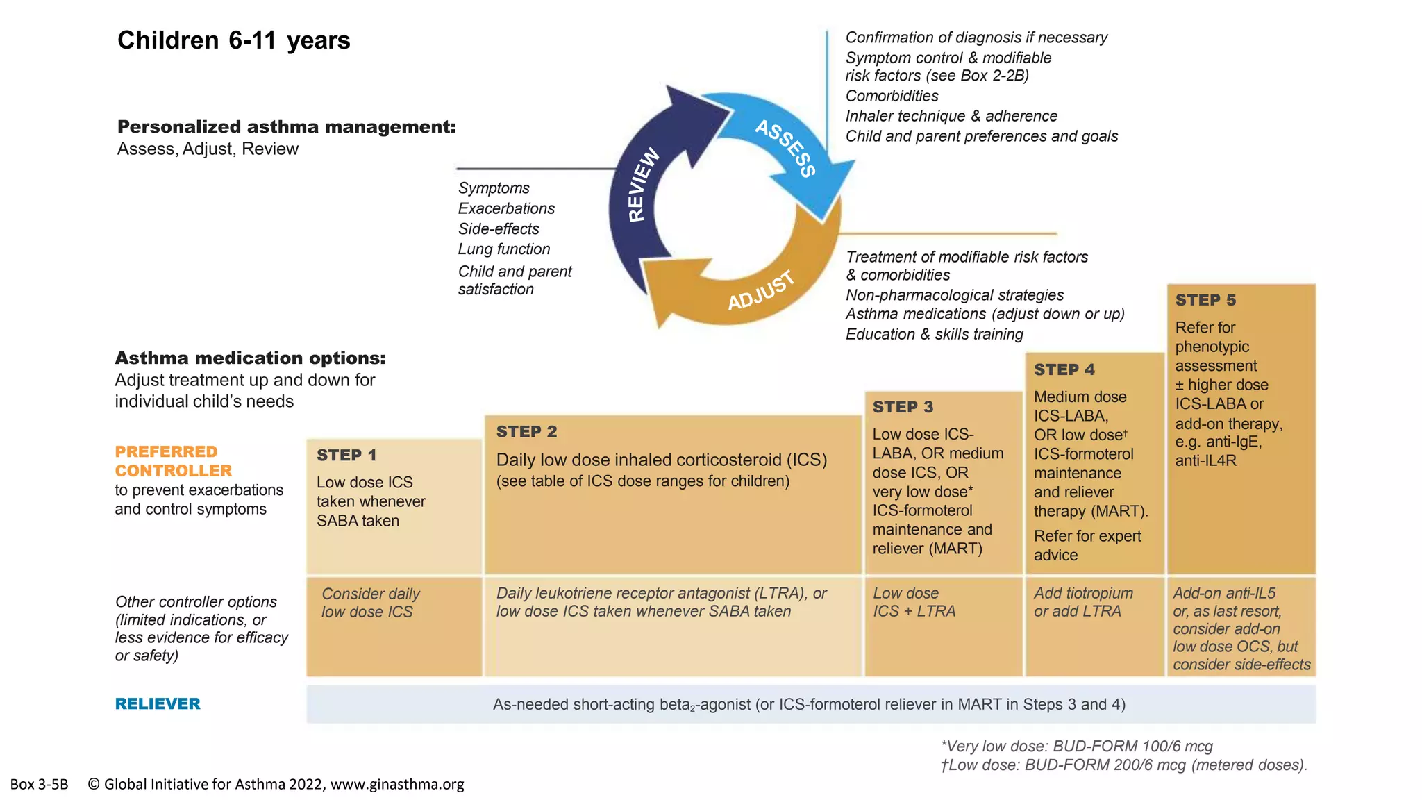 Add-on anti-IL5
or, as last resort,
consider add-on
low dose OCS, but
consider side-effects
*Very low dose: BUD-FORM 100/6 mcg
†Low dose: BUD-FORM 200/6 mcg (metered doses).
PREFERRED
CONTROLLER
to prevent exacerbations
and control symptoms
Other controller options
(limited indications, or
less evidence for efficacy
or safety)
RELIEVER
STEP 1
Low dose ICS
taken whenever
SABA taken
Consider daily
low dose ICS
Children 6-11 years
Personalized asthma management:
Assess, Adjust, Review
Asthma medication options:
Adjust treatment up and down for
individual child’s needs
STEP 2
Daily low dose inhaled corticosteroid (ICS)
(see table of ICS dose ranges for children)
Daily leukotriene receptor antagonist (LTRA), or
low dose ICS taken whenever SABA taken
STEP 3
Low dose ICS-
LABA, OR medium
dose ICS, OR
very low dose*
ICS-formoterol
maintenance and
reliever (MART)
STEP 4
Medium dose
ICS-LABA,
OR low dose†
ICS-formoterol
maintenance
and reliever
therapy (MART).
Refer for expert
advice
STEP 5
Refer for
phenotypic
assessment
± higher dose
ICS-LABA or
add-on therapy,
e.g. anti-IgE,
anti-IL4R
Add tiotropium
or add LTRA
Low dose
ICS + LTRA
As-needed short-acting beta2-agonist (or ICS-formoterol reliever in MART in Steps 3 and 4)
Symptoms
Exacerbations
Side-effects
Lung function
Child and parent
satisfaction
Confirmation of diagnosis if necessary
Symptom control & modifiable
risk factors (see Box 2-2B)
Comorbidities
Inhaler technique & adherence
Child and parent preferences and goals
Treatment of modifiable risk factors
& comorbidities
Non-pharmacological strategies
Asthma medications (adjust down or up)
Education & skills training
Box 3-5B © Global Initiative for Asthma 2022, www.ginasthma.org
 