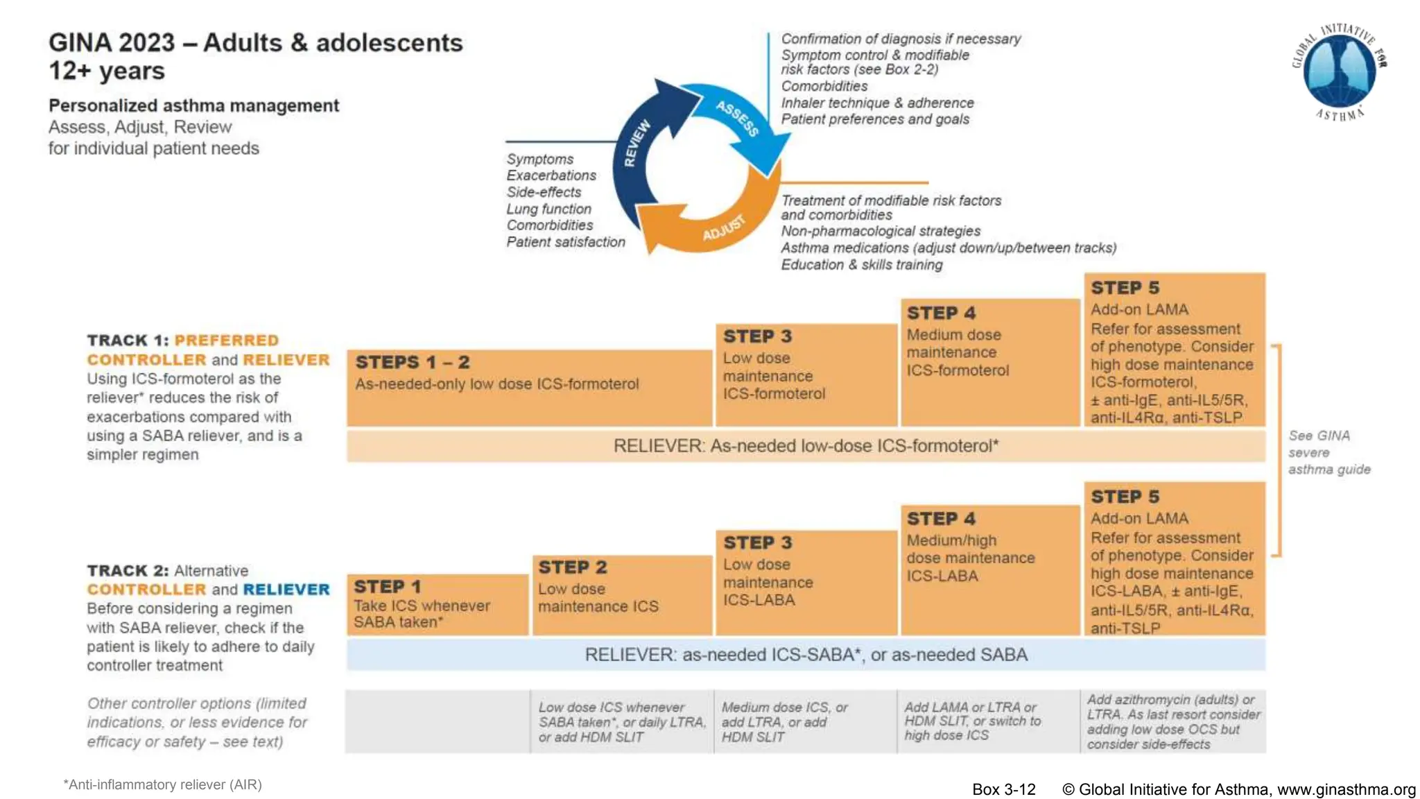 Box 3-12 © Global Initiative for Asthma, www.ginasthma.org
*Anti-inflammatory reliever (AIR)
 