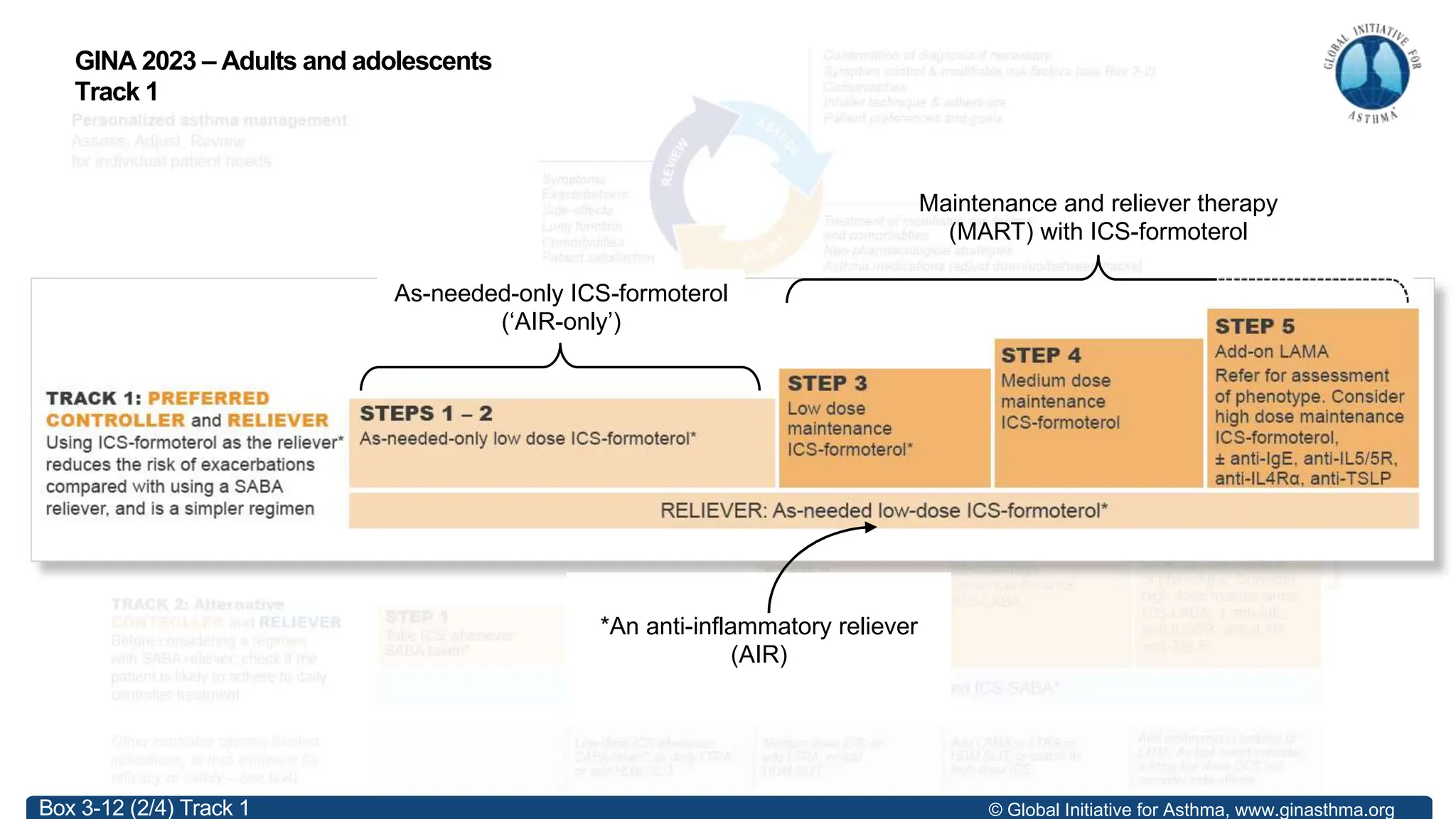 © Global Initiative for Asthma, www.ginasthma.org
Box 3-12 (2/4) Track 1
GINA 2023 – Adults and adolescents
Track 1
*An anti-inflammatory reliever
(AIR)
As-needed-only ICS-formoterol
(‘AIR-only’)
Maintenance and reliever therapy
(MART) with ICS-formoterol
 