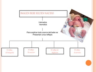 IMAGEN BEBE RECIEN NACIDO 
Llamados 
neonatos 
Para explicar todo acerca del bebe se 
Presentan unos reflejos 
El reflejo 
de búsqueda 
El reflejo 
De succion 
El reflejo de 
deglución 
El reflejo 
de presión 
 