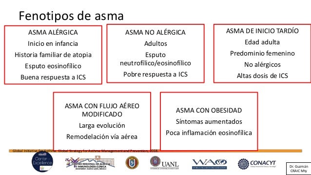 clasificacion de asma gina 2012 pdf clasificacion de asma gina 2012 pdf