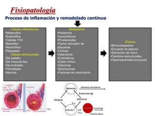 Proceso de inflamación y remodelado continuo
Fisiopatología
Harrison principios de Medicina Interna. Longo, Fauci. Et.Al Mc Graw Hill 18ª edición .
Células inflamatorias
•Mastocitos
•Eosinofilos
•Células TH2
•Basofilos
•Neutrofilos
•Plaquetas
Células estructurales
•De epitelio
•De musculo liso
•De endotelio
•Fibroblasto
•Nervios
Mediadores
•Histamina
•Leucotrienos
•Prostanoides
•Factor activador de
plaquetas
•Cininas
•Adenosina
•Endotelinas
•Oxido nítrico
•Citocinas
•Quimiocinas
•Factores de crecimiento
Efectos
•Broncoespasmo
•Exudado de plasma
•Secreción de moco
•Cambios estructurales
•Hiperreactividad bronquial
 