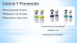 Inmunización 8 sem.
Refuerzo 12-16 sem.
Vacunas a virus vivo.
Inmunización activa contra Moquillo
Unidosis de 1 ml.
Vía Subcutánea o intramuscular
 