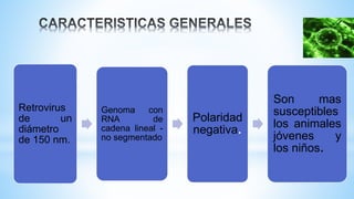 Retrovirus
de un
diámetro
de 150 nm.
Genoma con
RNA de
cadena lineal -
no segmentado
Polaridad
negativa.
Son mas
susceptibles
los animales
jóvenes y
los niños.
 