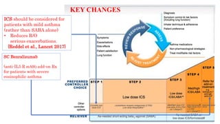 29
KEY CHANGES
ICS should be considered for
patients with mild asthma
(rather than SABA alone)
• Reduces R/O
serious exacerbations.
{Reddel et al., Lancet 2017}
SC Benralizumab
(anti-IL5 R mAB) add-on Rx
for patients with severe
eosinophilic asthma
 