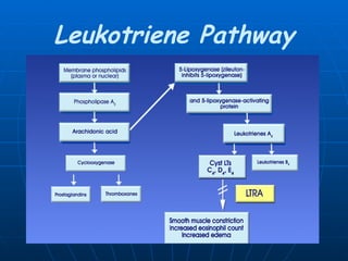 Leukotriene Pathway 