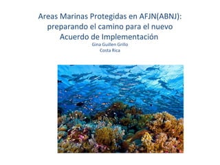 Areas Marinas Protegidas en AFJN(ABNJ):
preparando el camino para el nuevo
Acuerdo de Implementación
Gina Guillen Grillo
Costa Rica
 