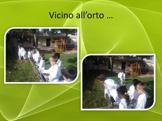 Vicino all’orto …
 