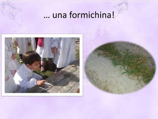 … una formichina!
 