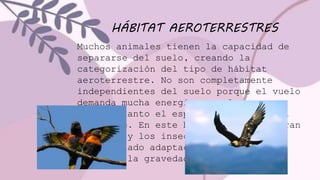 HÁBITAT AEROTERRESTRES
Muchos animales tienen la capacidad de
separarse del suelo, creando la
categorización del tipo de hábitat
aeroterrestre. No son completamente
independientes del suelo porque el vuelo
demanda mucha energía, por lo que
dominan tanto el espacio aéreo como el
terrestre. En este hábitat se encuentran
las aves y los insectos, que han
desarrollado adaptaciones para poder
desafiar la gravedad
 