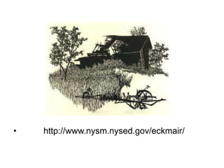 • http://www.nysm.nysed.gov/eckmair/
 