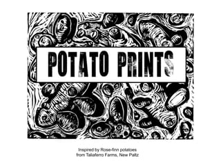 Inspired by Rose-finn potatoes
from Taliaferro Farms, New Paltz
 