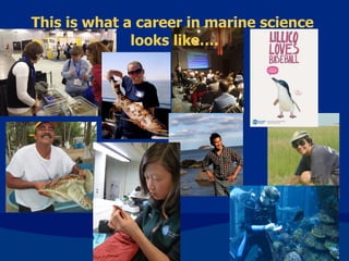 This is what a career in marine science
looks like….
 
