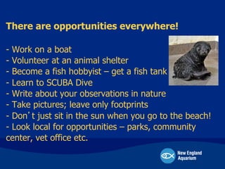 There are opportunities everywhere!
- Work on a boat
- Volunteer at an animal shelter
- Become a fish hobbyist – get a fis...