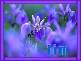 f i m 
