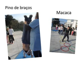Pino de braços
                 Macaca
 