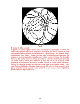 10
Fig. 3
O fundo do olho normal
A papila do nervo óptico forma uma circunferência localizada na retina. No
centro da papila encontra-se a excavação fisiológica, que tem a forma dum funil
microscopicamente pequeno e que penetra no nervo óptico. As artérias estão
desenhadas com linhas duplas, com as suas ramificações mais estreitas. As
veias e os seus ramos estão marcados com linhas negras simples. Na direcção
temporal da papila do nervo óptico, encontra-se a mancha amarela em forma de
um óvalo. Esta é muito mais sensível à ação da luz ou de qualquer outra
impressão que chega ao olho vindo de fora, do que as outras partes da retina.
Dentro da mancha amarela encontra-se outra parte arredondada, ainda com
mais foto-sensibilidade, chamada fossa central. No centro desta encontra-se o
ponto amarelo, que é a parte mais sensível e, por isso, a mais importante,
pois transmite a impressão visual.
 