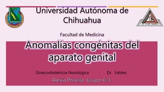 Ginecoobstetricia Nosológica Dr. Valdez
 