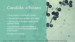 Enfermedades de transmisión sexual | PPTX