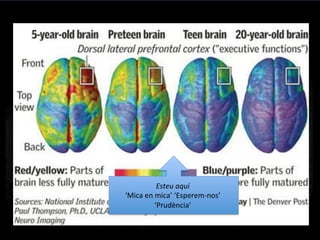 Esteu	
  aquí	
  	
  
‘Mica	
  en	
  mica’	
  ‘Esperem-­‐nos’	
  
‘Prudència’	
  
 