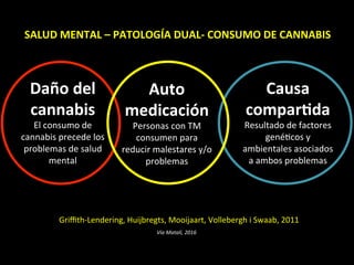 Daño	
  del	
  
cannabis	
  
El	
  consumo	
  de	
  
cannabis	
  precede	
  los	
  
problemas	
  de	
  salud	
  
mental	
  
Auto	
  
medicación	
  
Personas	
  con	
  TM	
  
consumen	
  para	
  
reducir	
  malestares	
  y/o	
  
problemas	
  
Causa	
  
compar]da	
  
Resultado	
  de	
  factores	
  
genéVcos	
  y	
  
ambientales	
  asociados	
  
a	
  ambos	
  problemas	
  
Griﬃth-­‐Lendering,	
  Huijbregts,	
  Mooijaart,	
  Vollebergh	
  i	
  Swaab,	
  2011	
  
	
  
SALUD	
  MENTAL	
  –	
  PATOLOGÍA	
  DUAL-­‐	
  CONSUMO	
  DE	
  CANNABIS	
  
Vía	
  Matalí,	
  2016	
  
 