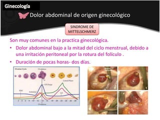 Ginecología Procedimientos diagnósticos  COLPOSCOPIAHallazgos normales	Epitelio escamoso normal	Epitelio columnar	Zona de transformación