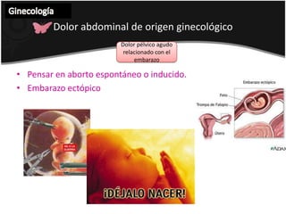 Ginecología Procedimientos diagnósticos  BIOPSIAS Biopsias en cavidad endometrial: legra endometrial de Novak, dispositivo endometrial de Pipelle o el de aspiración de Vabra.