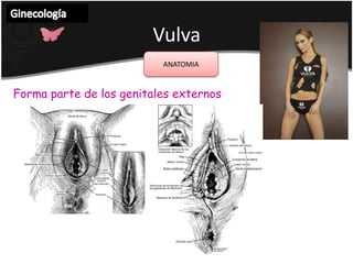 Ginecología Dolor abdominal de origenginecológicoRotura o torsión de quiste ovárico Causa dolor o irritación peritoneal debido a la sangre, liquido o isquemia .Es importante el Dx diferencial con apendicitis aguda.