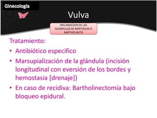 Ginecología VulvaINFLAMACION DE LAS GLANDULAS DE BARTHOLIN O BARTHOLINITISAlteración de origeninfeccioso. Relacionado con Neisseriagonorrhoeae y Clamydiatrachomatis, tricomonas y cocobacilos.