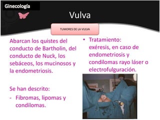 VulvaGinecología INFLAMACION DE LAS GLANDULAS DE BARTHOLIN O BARTHOLINITISEn fase aguda: Tumoración en introito vaginal Dolor intenso Datos de inflamación en glándula, puede existir salida de material purulento.