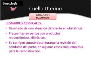 VulvaGinecología TUMORES DE LA VULVATratamiento: exéresis, en caso de endometriosis y condilomas rayo láser o electrofulguración.Abarcan los quistes del conducto de Bartholin, del conducto de Nuck, los sebáceos, los mucinosos y la endometriosis.Se han descrito: Fibromas, lipomas y condilomas.CRAUROSIS VULVAR VulvaGinecología Atrofia por hipoestrogenismo.Cuadro clínico: Edema, eritema y prurito.Tratamiento: estrógenos locales o vulvectomía simple en caso de persistencia.