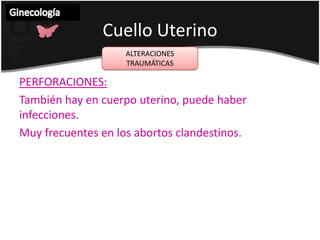 TUMORES DE LA VULVA VulvaGinecología Leucoplasia: Lesión premaligna en el 25% de los casos, requiere de vulvectomía simple.Carcinoma vulvar invasor: tratamiento: vulvectomía bilateral y linfadenectomía de ganglios superficiales, profundos, inguinales, femorales y obturadores. Radioterapia.
