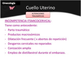 ALTERACIONES TRAUMÁTICASCuelloUterinoGinecología DESGARROS CERVICALES: Resultado de una atención deficiente en obstetriciaFrecuentes en partos con productos macrosómicos, distócicos.Se corrigen suturándose durante la revisión del conducto del parto, en algunos casos traqueloplasia para la reconstrucción.