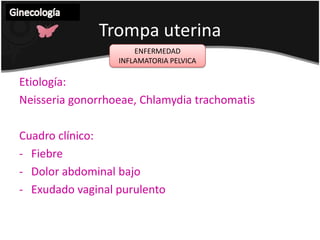 Para estadios IB y IIA: histerectomía radical con linfadenectomía pélvica y radioterapia.