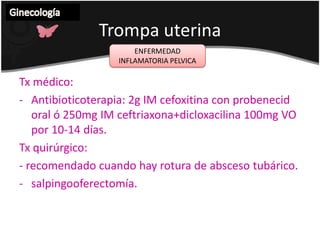 IVB quimioterapia con cisplatino o mitomicina CCuerpoUterinoGinecología MIOMATOSISTumor benigno formado por fibras musculares lisas y tejido conectivo.