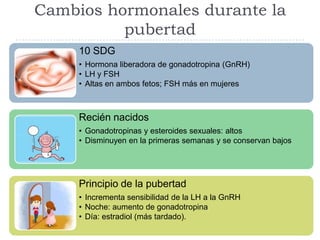 Cambios hormonales durante la
pubertad
10 SDG
• Hormona liberadora de gonadotropina (GnRH)
• LH y FSH
• Altas en ambos fetos; FSH más en mujeres
Recién nacidos
• Gonadotropinas y esteroides sexuales: altos
• Disminuyen en la primeras semanas y se conservan bajos
Principio de la pubertad
• Incrementa sensibilidad de la LH a la GnRH
• Noche: aumento de gonadotropina
• Día: estradiol (más tardado).
 