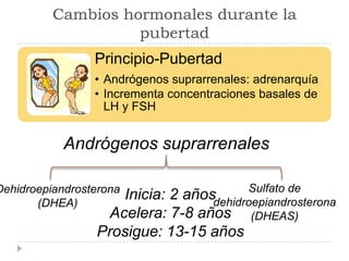 Cambios hormonales durante la
pubertad
Principio-Pubertad
• Andrógenos suprarrenales: adrenarquía
• Incrementa concentraciones basales de
LH y FSH
Andrógenos suprarrenales
Dehidroepiandrosterona
(DHEA)
Sulfato de
dehidroepiandrosterona
(DHEAS)
Inicia: 2 años
Acelera: 7-8 años
Prosigue: 13-15 años
 