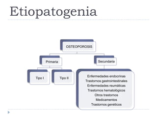 Etiopatogenia
OSTEOPOROSIS
Primaria
Tipo I Tipo II
Secundaria
Enfermedades endocrinas
Trastornos gastrointestinales
Enfermedades reumáticas
Trastornos hematológicos
Otros trastornos
Medicamentos
Trastornos genéticos
 