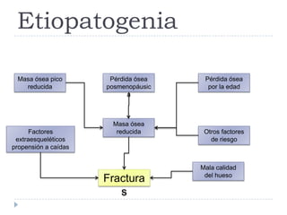 Etiopatogenia
Masa ósea pico
reducida
Pérdida ósea
posmenopáusic
a
Pérdida ósea
por la edad
Masa ósea
reducida Otros factores
de riesgo
Factores
extraesqueléticos
propensión a caídas
Fractura
s
Mala calidad
del hueso
 