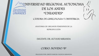 UNIVERSIDAD REGIONAL AUTONOMA
DE LOS ANDES
“UNIANDES”
CÁTEDRA DE GINECOLOGIA Y OBSTETRICIA
ANATOMIA DE ORGANOS FEMENINOS DE LA
REPRODUCCIÓN
DOCENTE: DR. OCTAVIO MIRANDA
REALIZADO POR: LISSETH NARCISA VALENCIA BARAHONA
CURSO: NOVENO “B”
 