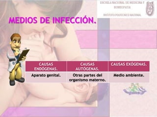 CAUSAS
ENDÓGENAS.
CAUSAS
AUTÓGENAS.
CAUSAS EXÓGENAS.
Aparato genital. Otras partes del
organismo materno.
Medio ambiente.
 