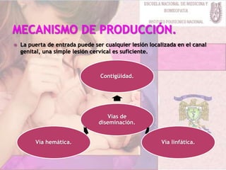  La puerta de entrada puede ser cualquier lesión localizada en el canal
genital, una simple lesión cervical es suficiente.
Vías de
diseminación.
Contigüidad.
Vía linfática.Vía hemática.
 